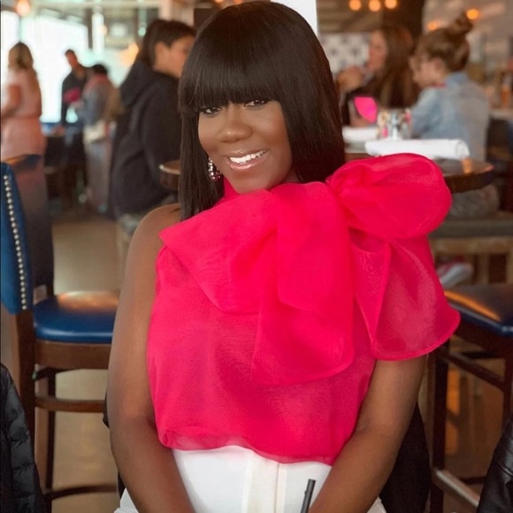 NWT Zara Organza top blogger favorite in pink - Picture 5 of 8